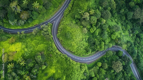 An aerial view of a curvy road slicing through a lush green landscape, illustrating nature's interface with human-made infrastructure © PhilipSebastian