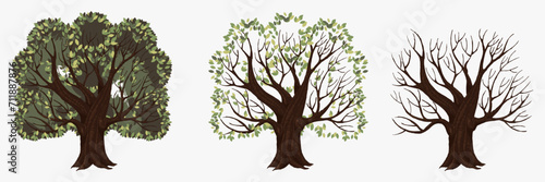 Tree with and without foliage. Symbol of change of seasons and environmental poisoning with drying green vector plants