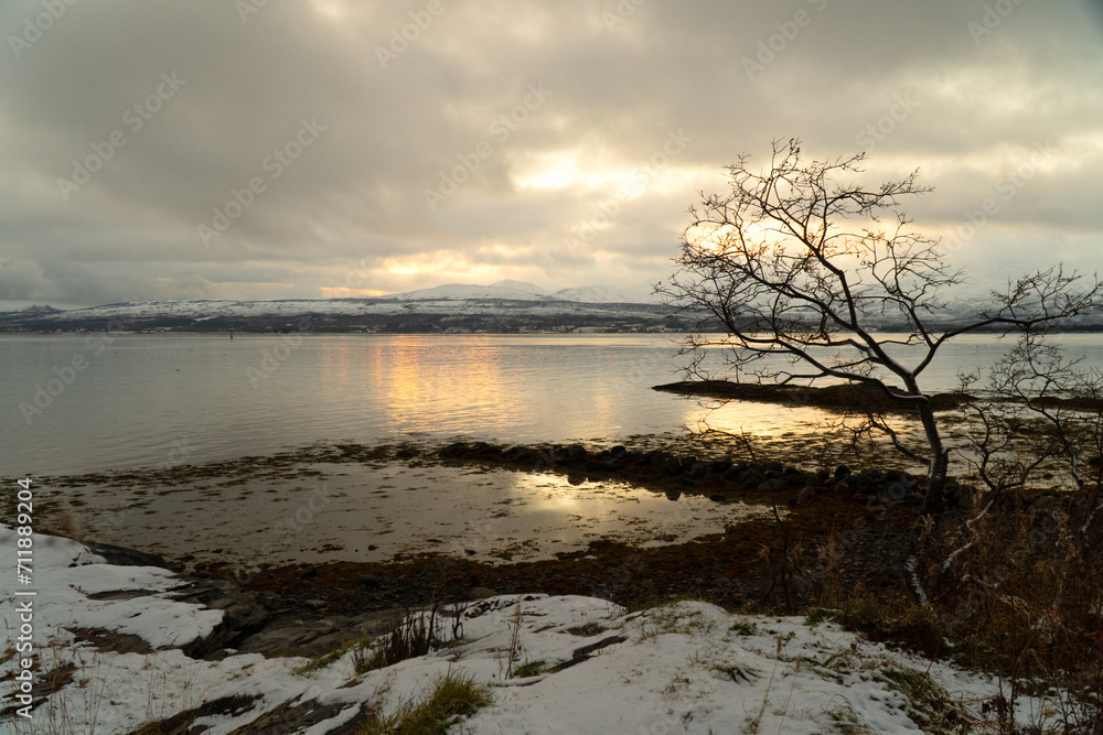 Norwegian winter landscape with sea, sun, reflections on water, trees, and snow. The landscape is in grey shades