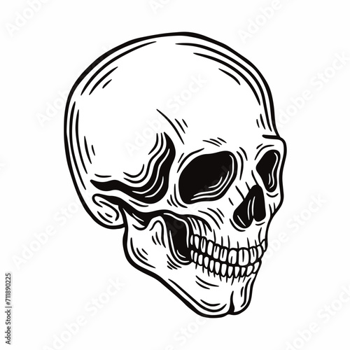 human skull vector