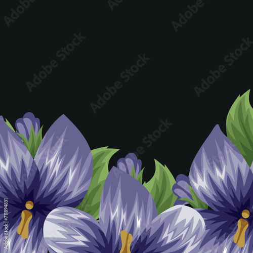 floral frame template for cards or banners consisting of field violet buds, green leaves and unopened violet buds on a black background, vector