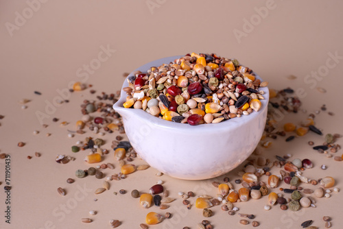 Assorted bird seed, feed for racing pigeons