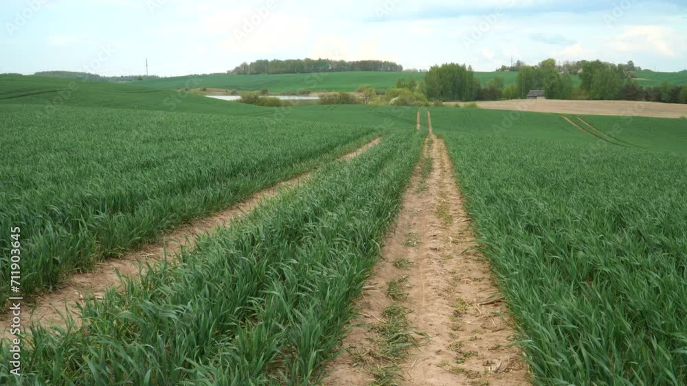 The majestic beauty of the countryside comes alive as never-ending winter-sown cereal plants adorn the picturesque hilly landscape, painting it a vibrant shade of green. The majestic beauty of the countryside comes alive as never-ending winter-sown cereal plants adorn the picturesque hilly landscape, painting it a vibrant shade of green.