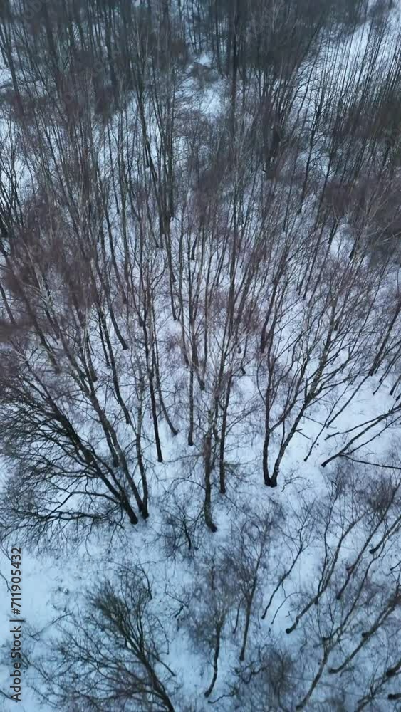 Flying in cold winter day over snow covered forest top down view Flying in cold winter day over snow covered forest top down view