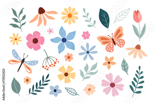 Spring and summer flowers, butterfly, dragonfly, leaves, plants. Vector doodle illustration