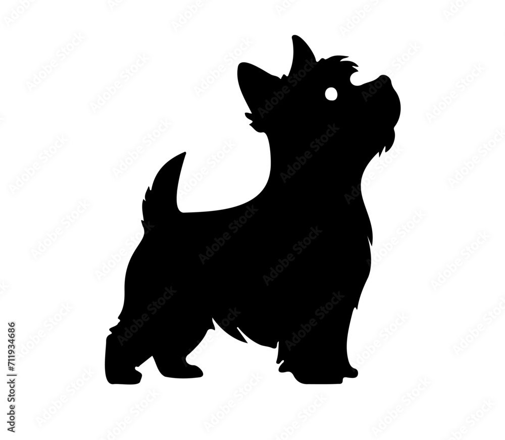 Yorkshire Terrier standing, black and white dog, silhouette