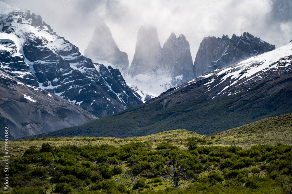 las torres and snow mountains with foggy sky, trees and plant at the front