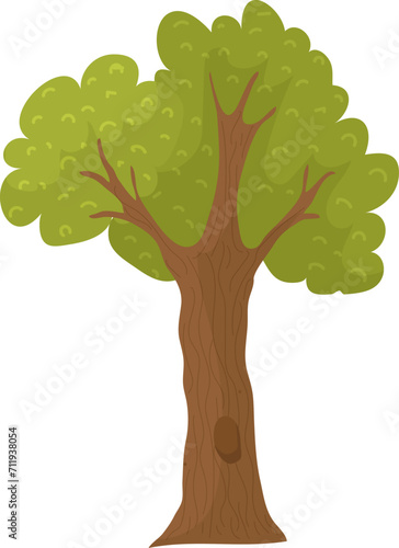Cartoon green tree with lush foliage and brown trunk. Simple nature element  summer or spring concept vector illustration.