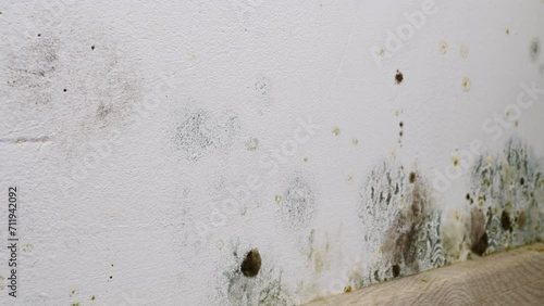 Mould and fungus growth on wall surface. Problem of ventilation and dampness in home interior.