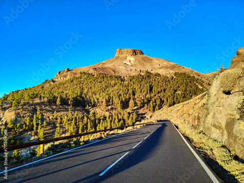 A road to El Retamar mountain pass in El Teide National Park during the golden hour, Tenerife, Canary Islands, Spain photo