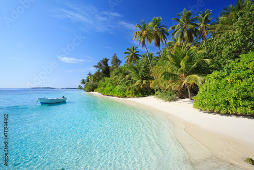 Tropical beach with palm trees and boat, Maldives photo