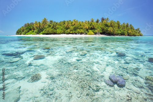 Coral reef and tropical island in the Maldives
