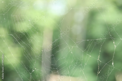 Old dusty cobweb on blurred background, closeup