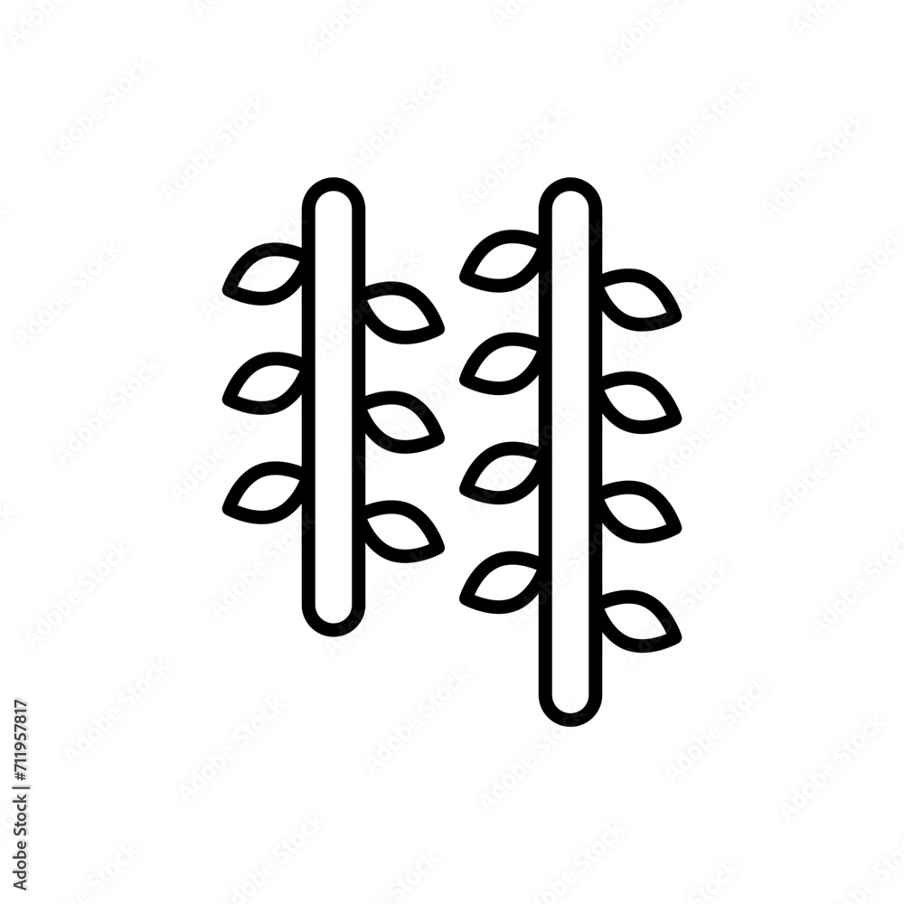 Jungle leaf outline icons, minimalist vector illustration ,simple transparent graphic element .Isolated on white background Jungle leaf outline icons, minimalist vector illustration ,simple transparent graphic element .Isolated on white background