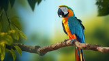 Rainforest Charm: Macaw Parrot Gracing the Tree with Full Elegance.