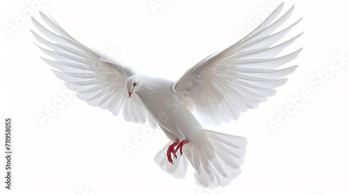 A free flying white dove isolated on white background. AI Generative © We3 Animal