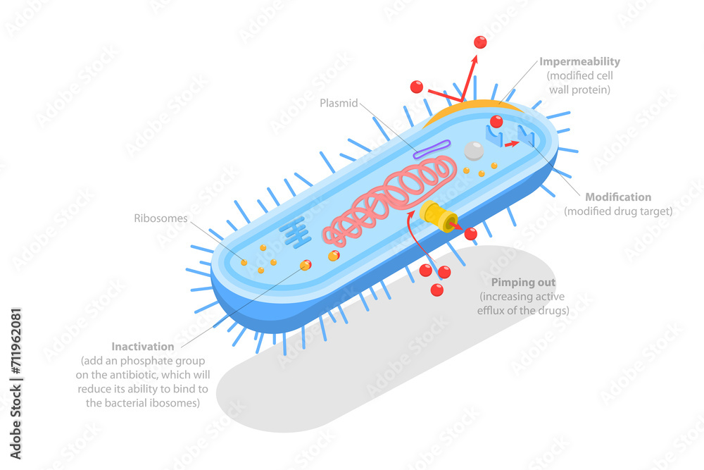 Fototapeta premium 3D Isometric Flat Conceptual Illustration of Antimicrobal Resistance, Medical Educational Diagram
