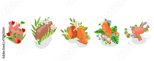 3D Isometric Flat  Set of Human Organs With Flowers  Floral Internal Anatomy