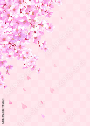 桜の和風フレーム背景 和柄 市松模様 桜吹雪 飾り枠 素材 お花見 入学 卒業 入園 卒園 入社 ひなまつり ひな祭り イメージ 縦長