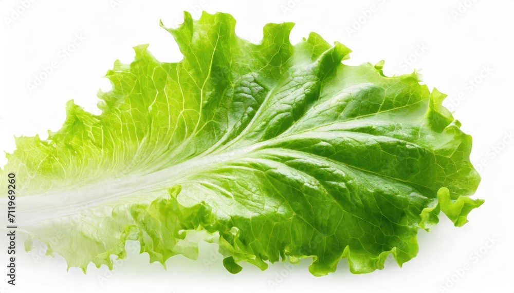 A piece of fresh lettuce isolated on white background. - obrazy, fototapety, plakaty 