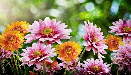 The orange flowers in garden.