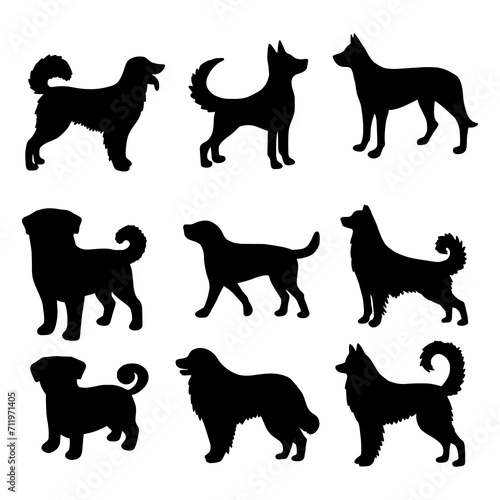Isolated dogs on the white background. Dogs silhouettes. Vector EPS 10.	