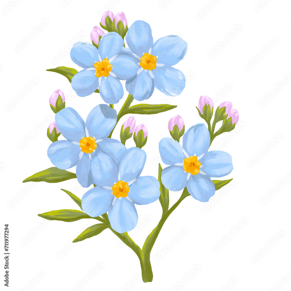 Obraz premium Forget me not flower digital painting illustration