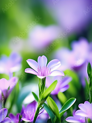 flowers in the garden background