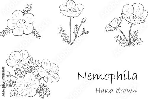 ネモフィラの線画イラスト