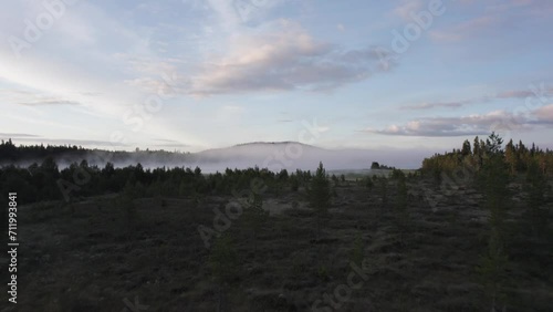 Norwegian forest landscape with morning fog over distant lake AERIAL SHOT photo