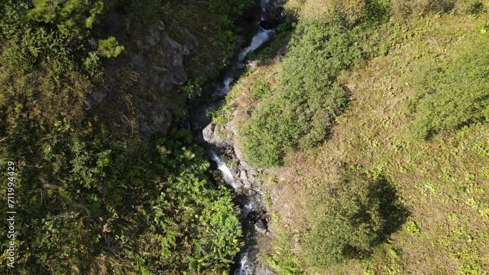 Drone view of the stream flowing through the mountain, water among the greenery Drone view of the stream flowing through the mountain, water among the greenery