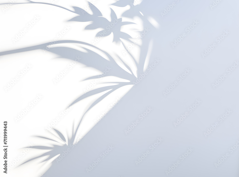 white-background-plant-shaped-shadow-shadow-shapeon-the-side white-background-plant-shaped-shadow-shadow-shapeon-the-side
