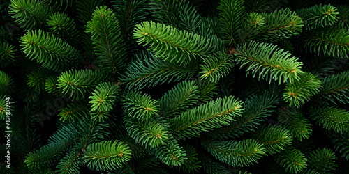fern leaves  Green Prickly Branches of a FurTree or Pine  The green branches of nobilis are close green floral background  Christmas background of wild fir tree branches  Generative AI