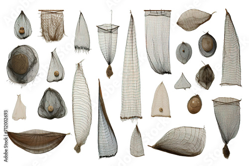 sea shells collection isolated on a Transparent background. Generative AI