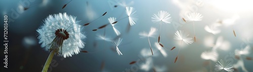 Freeze the moment when dandelion seeds are released into the air, background image, generative AI