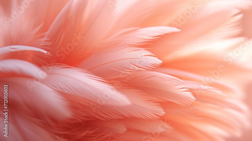 Abstract feather closeup, peach fuzz, macro, front view, background close up texture © Chayada