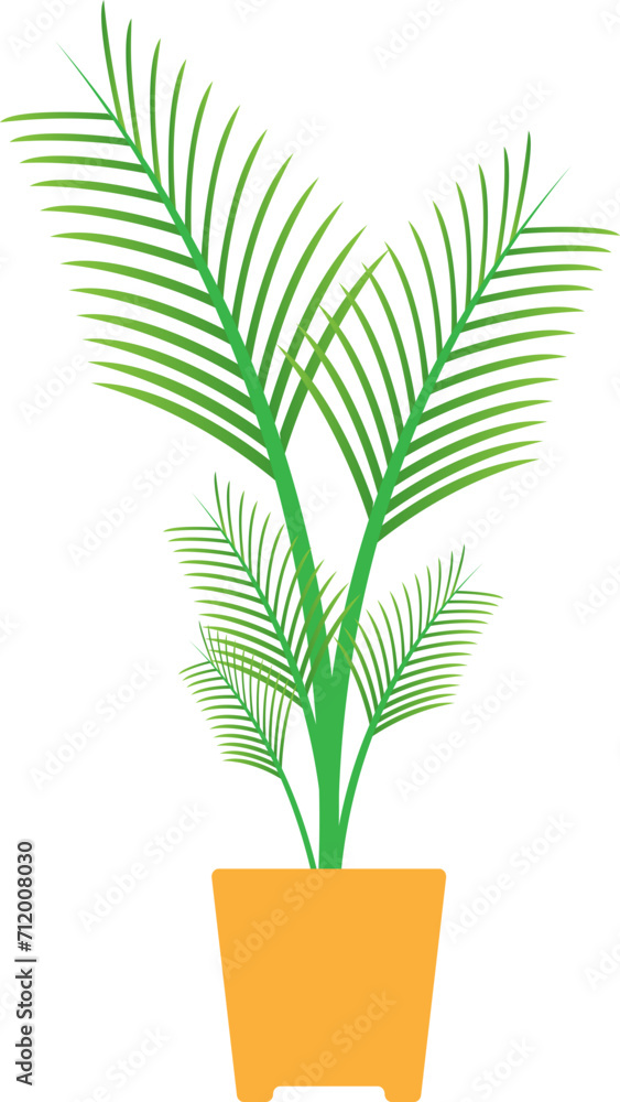 palm plant in a potted palm plant in a potted