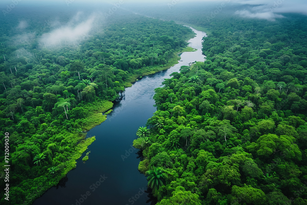 Elevated Drone Views: Panoramic Amazon Jungle Landscape Exploration