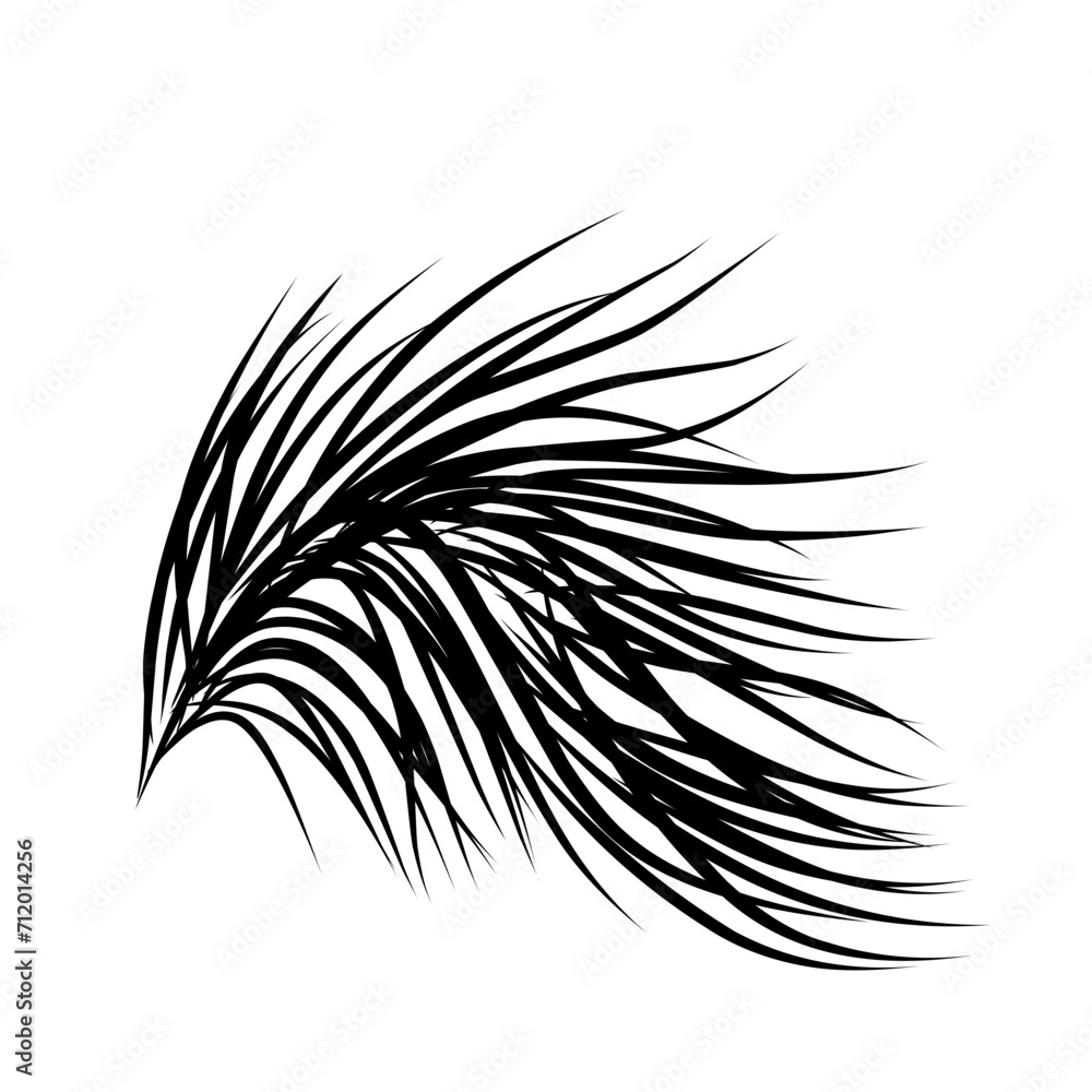 Obraz premium coconut leaf silhouette