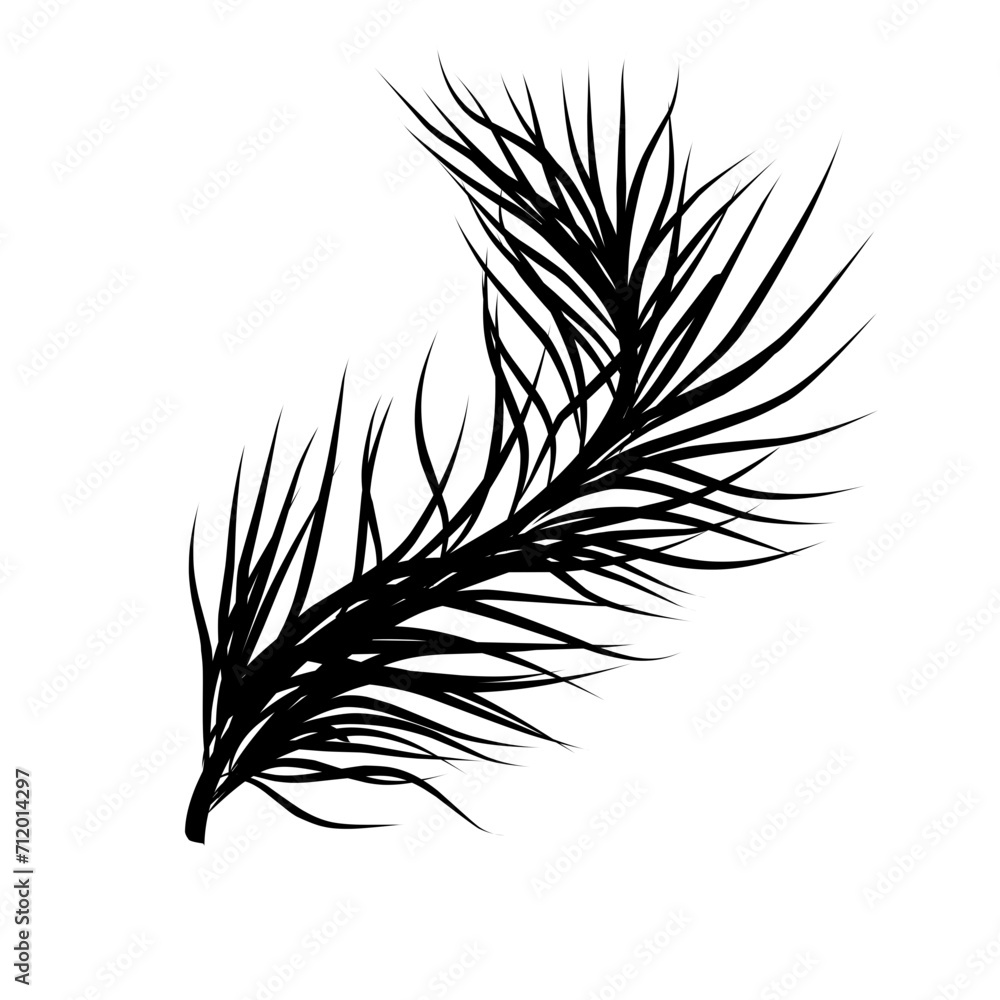 Obraz premium coconut leaf silhouette
