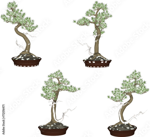 ethnic traditional bonsai plant art drawing illustration vector design
