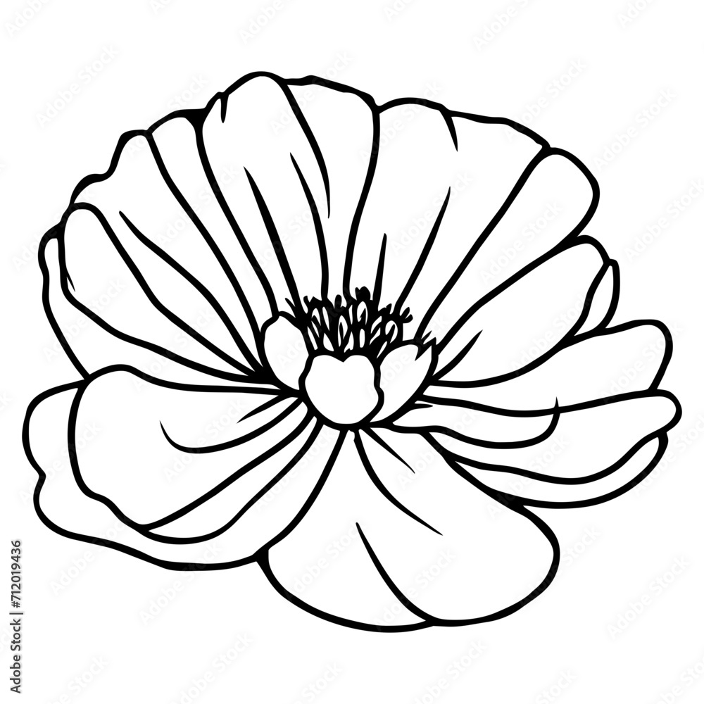 Hand drawn simple flower illustration Hand drawn simple flower illustration