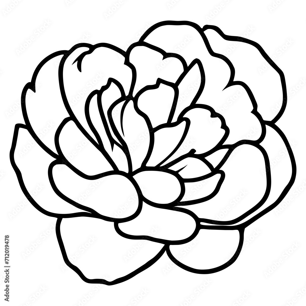 Hand drawn simple flower illustration Hand drawn simple flower illustration