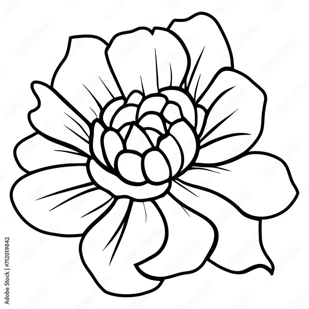 Hand drawn simple flower illustration Hand drawn simple flower illustration