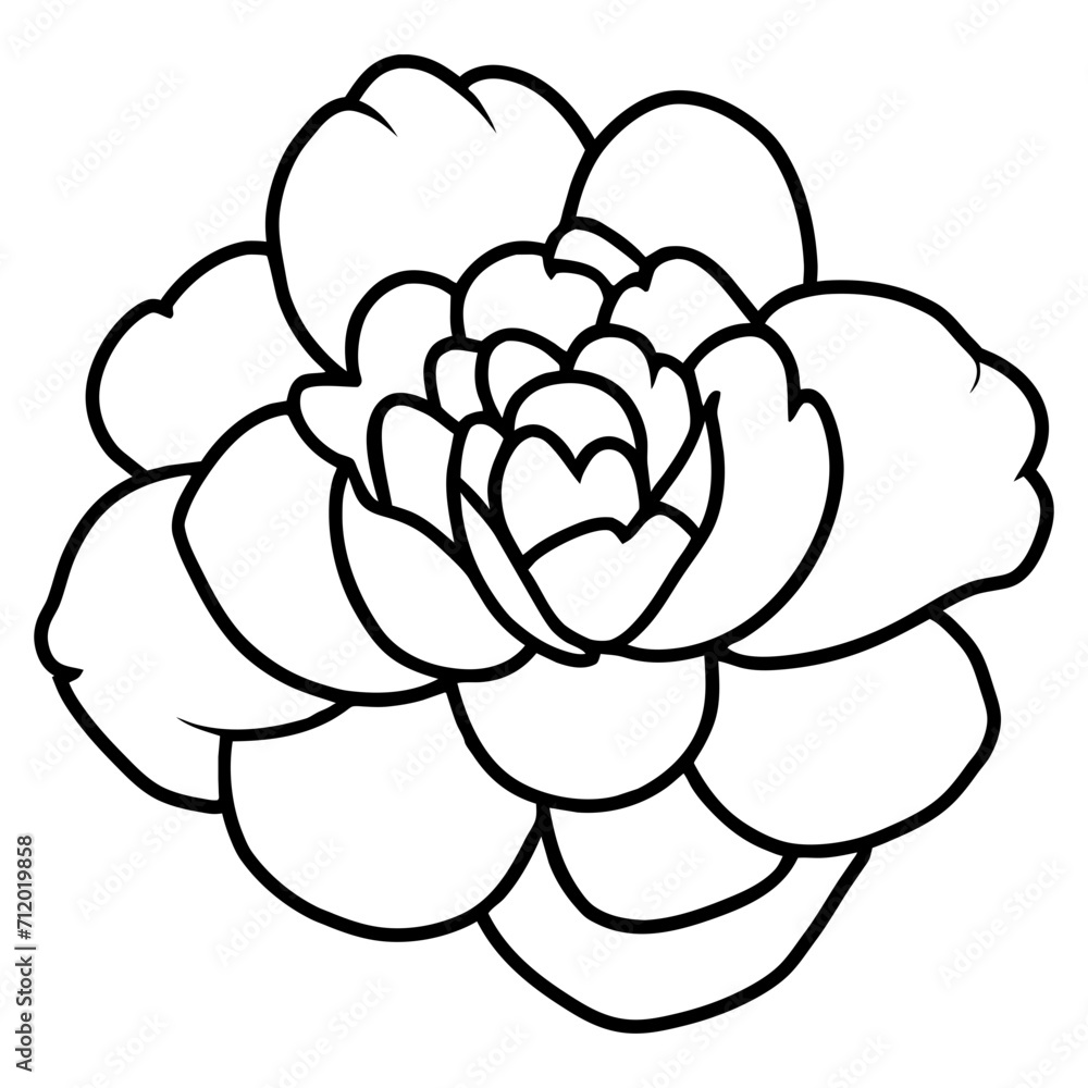 Hand drawn simple flower illustration Hand drawn simple flower illustration