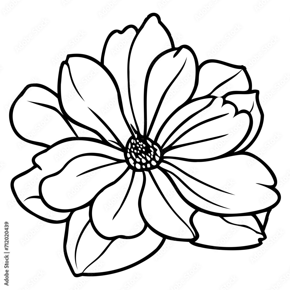 Hand drawn simple flower illustration Hand drawn simple flower illustration