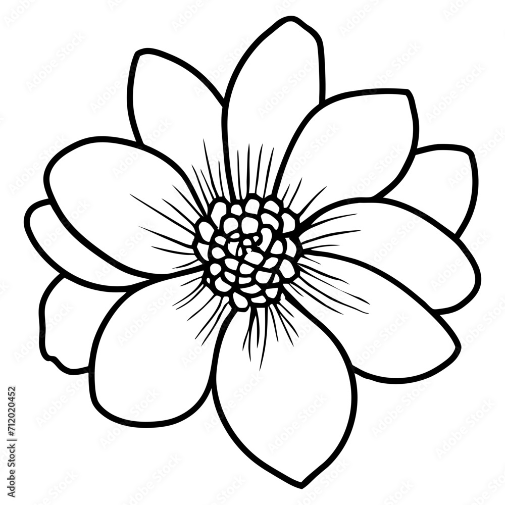 Hand drawn simple flower illustration Hand drawn simple flower illustration