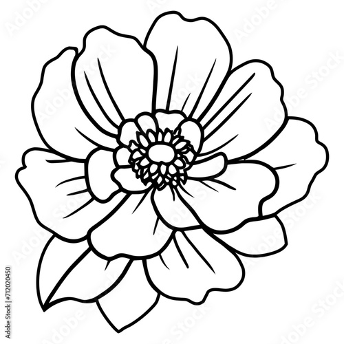 Fototapeta Naklejka Na Ścianę i Meble -  Hand drawn simple flower illustration