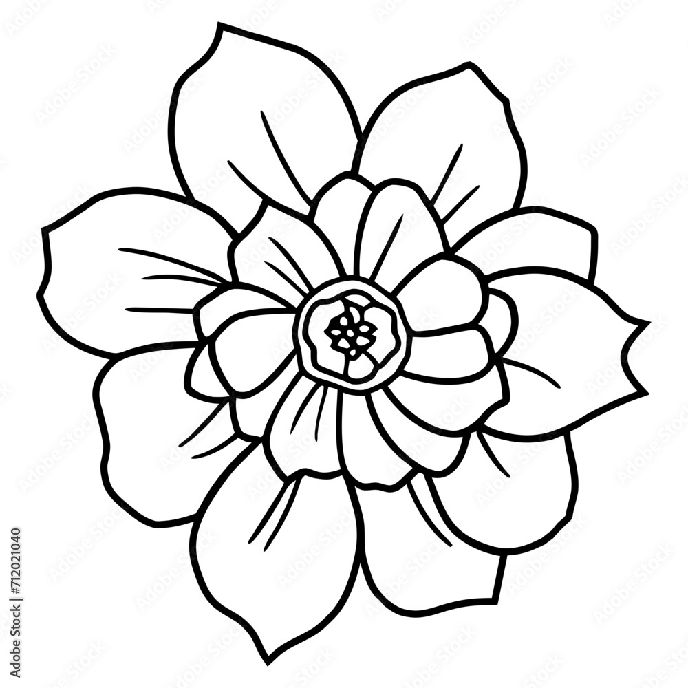 Hand drawn simple flower illustration Hand drawn simple flower illustration