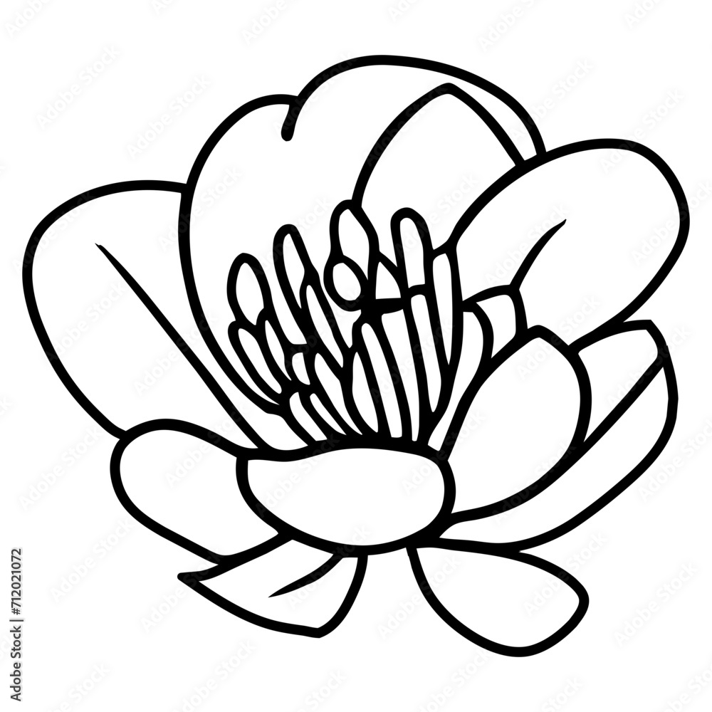 Hand drawn simple flower illustration Hand drawn simple flower illustration